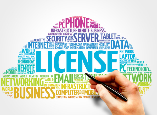 Why Licensing services from us